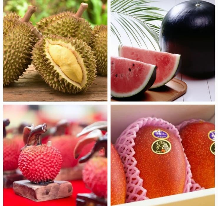 Dưa hấu, đào, vải, sầu riêng, những trái cây theo mùa mùa hè, bệnh nhân ung thư có ăn được không?