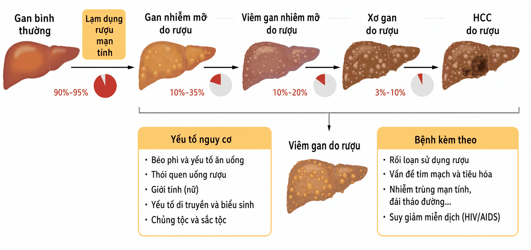 Bệnh gan do rượu: đừng chờ vàng da mới đi khám