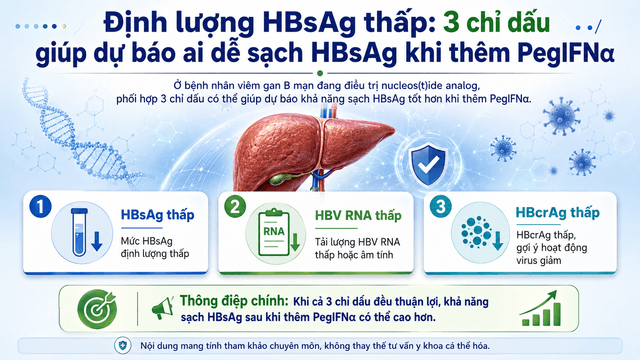 HBsAg thấp: 3 chỉ dấu dự báo sạch HBsAg