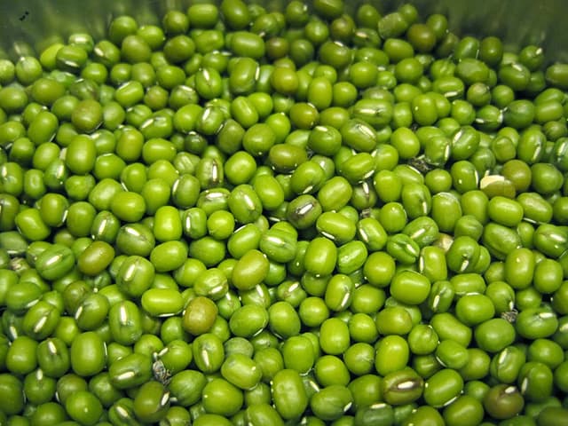 Độ ẩm mùa hè cao, có 3 điều cần lưu ý khi hút ẩm cho bệnh nhân